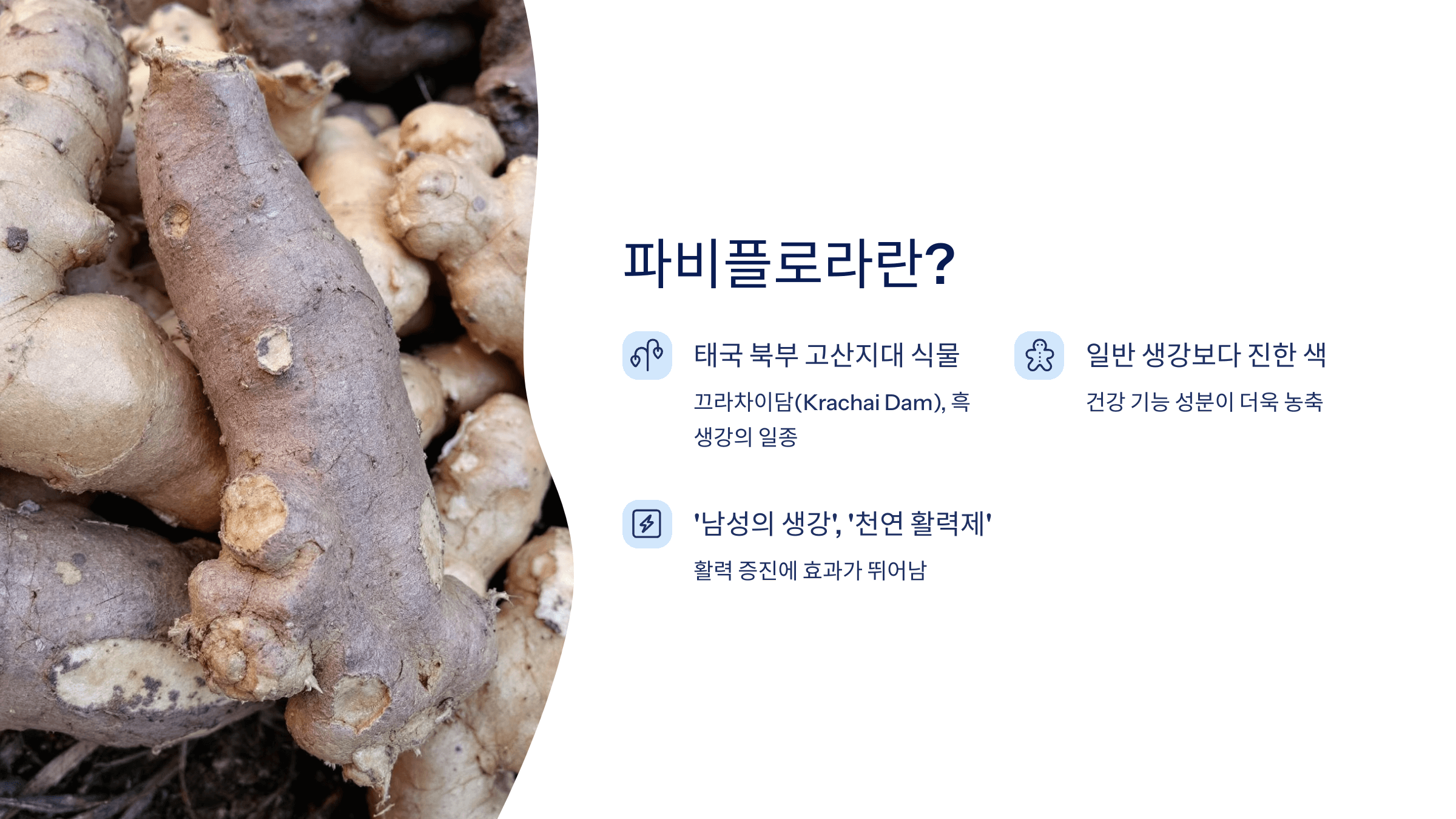 파비플로라 사진입니다.