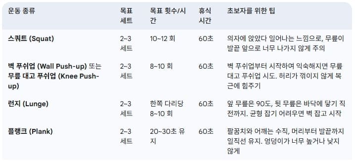 왕초보-홈트-근력-운동-루틴