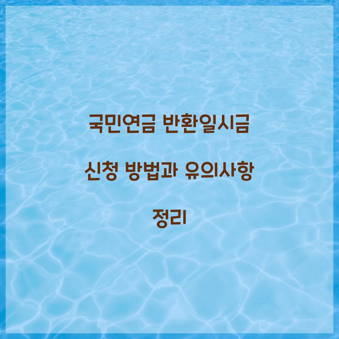 국민연금 반환일시금 신청