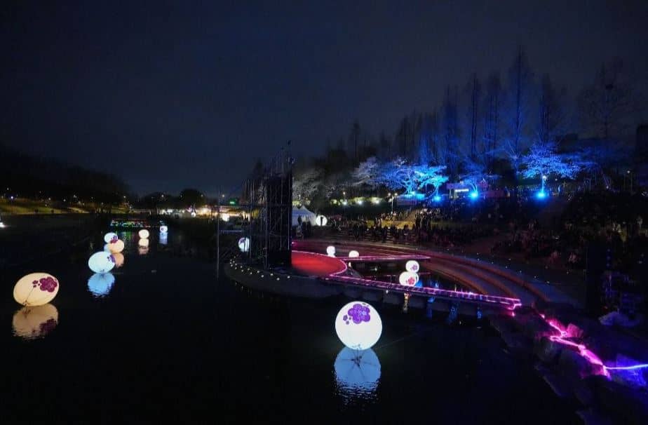 양재천 벚꽃 등 축제