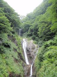 울릉도 관광코스 추천