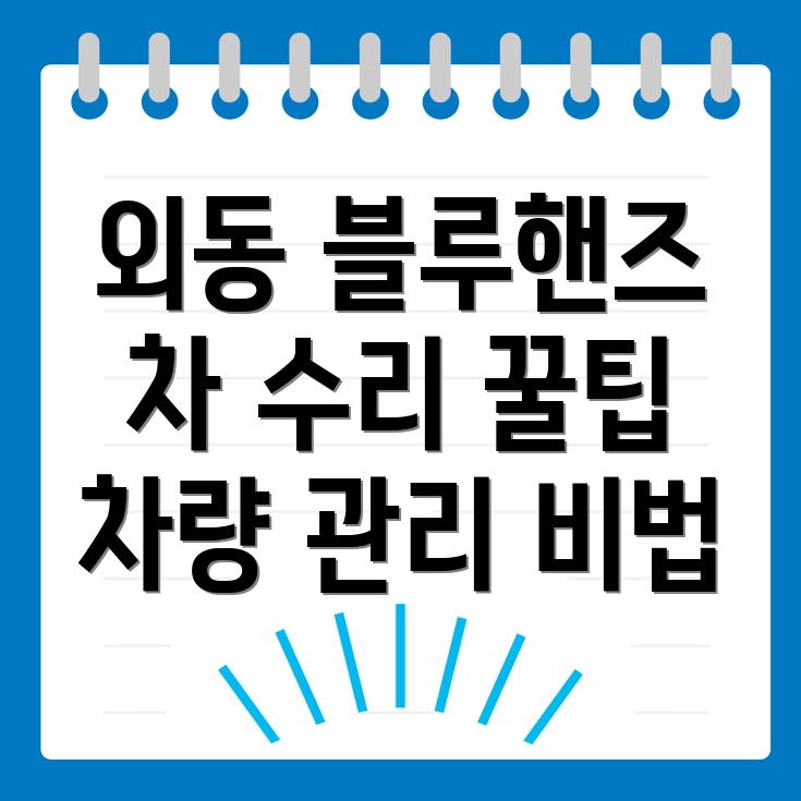 블루핸즈