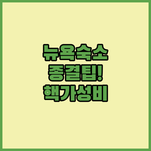 뉴욕 여행 숙소 정하기 타임스퀘어 근..