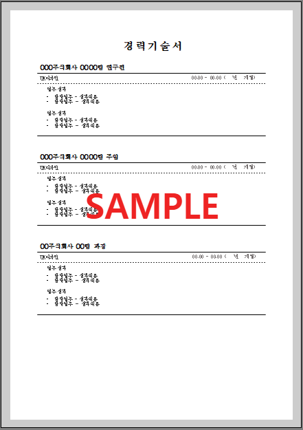 경력기술서 (2) 미리보기 화면