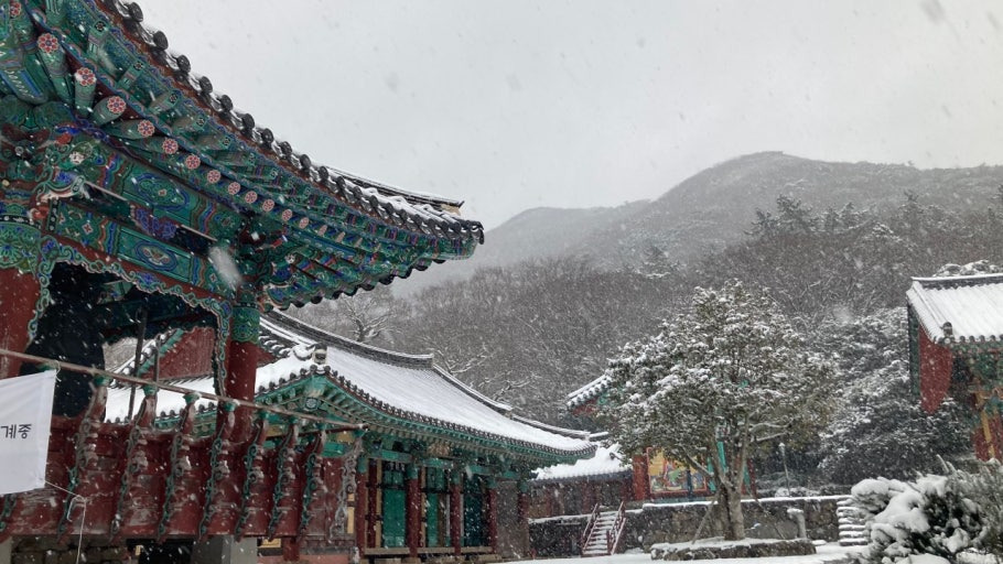 겨울 산사 템플스테이 명소, 고요 속 나를 찾는 사색 여행!
