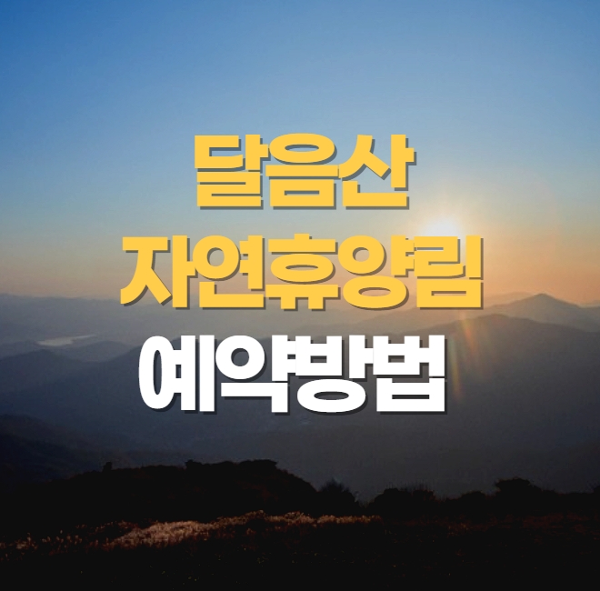 달음산자연휴양림 완벽정리