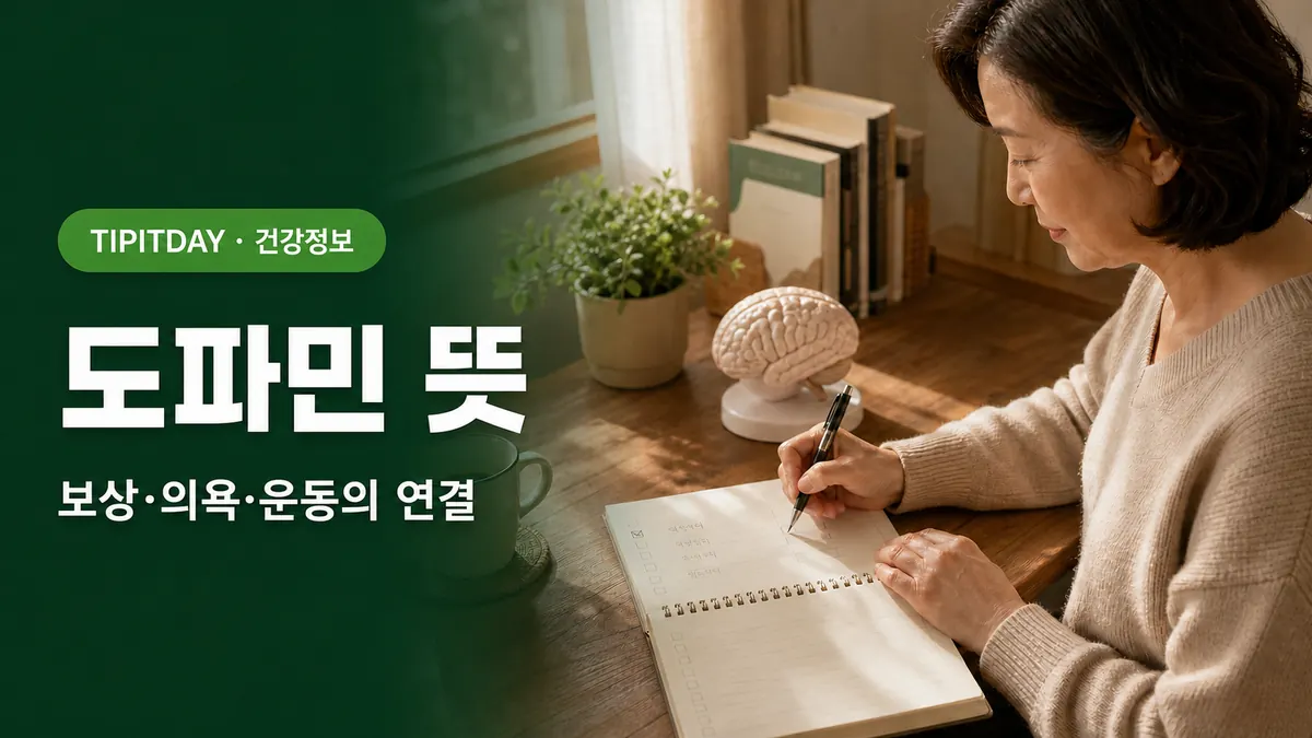 파민 뜻과 역할 건강정보
