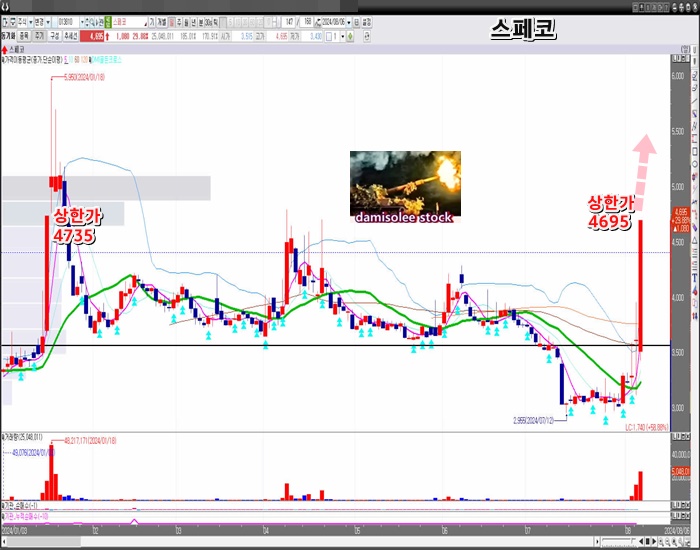 일-봉-차트