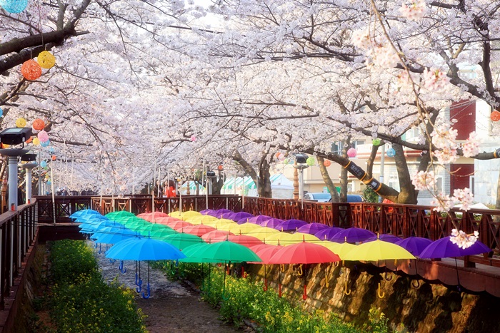 진해 군항제 가는 방법, 일정, 주차, 숙박