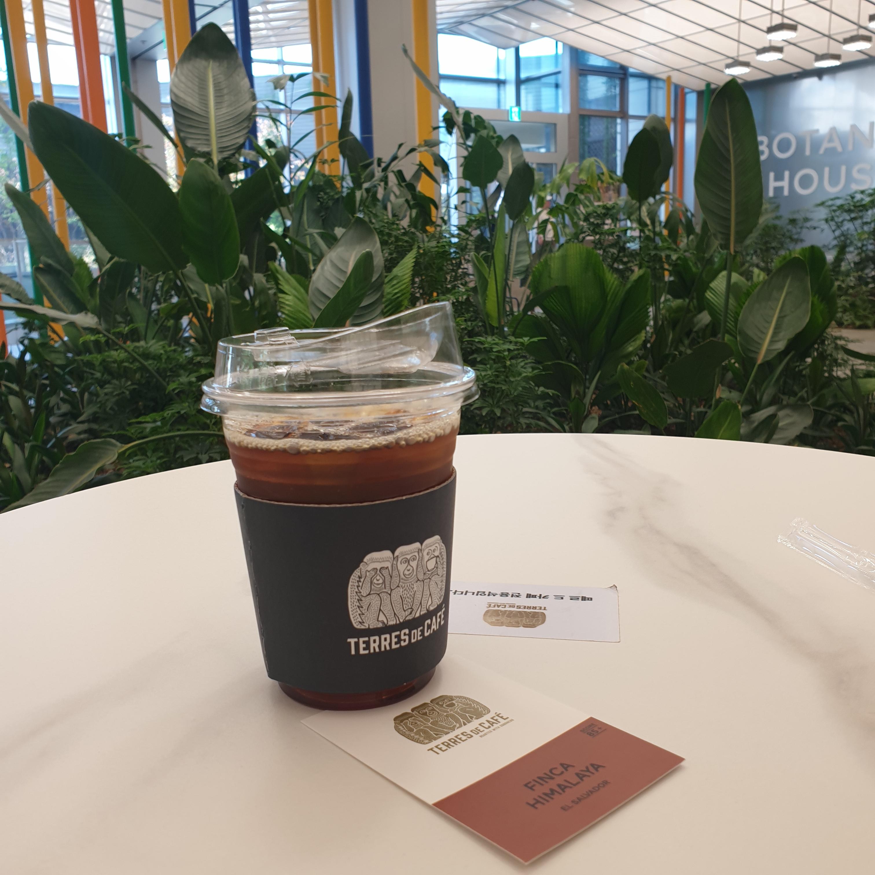 목동 스페셜티 커피 '떼르 드 카페 (TERRES DE CAFE)' 현대목동점_엘살바도르 원두 커피