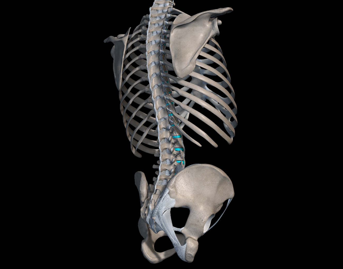 척추 분리증 증상과 치료법