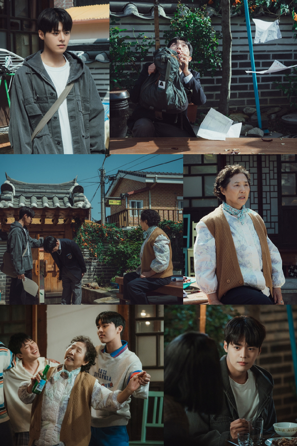 반짝이는 워터멜론 [사진=tvN]