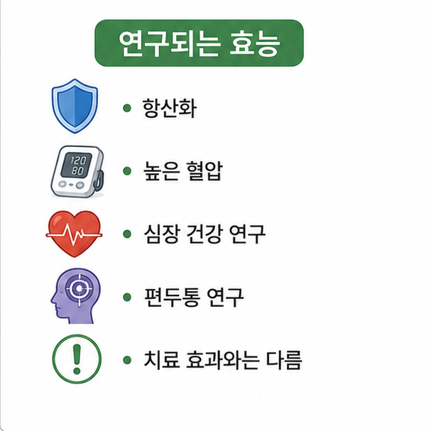 코엔자임Q10의 항산화와 높은 혈압, 심장 건강과 편두통 관련 연구 분야를 정리한 이미지