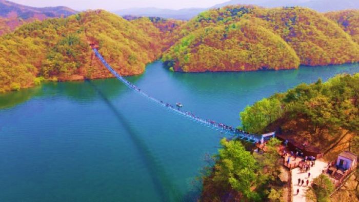 진천 초평호 미르 309 출렁다리 전경