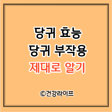 당귀 효능&#44; 당귀 부작용