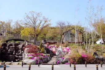 파주 가볼만한곳 맛집 카페 추천 가을 여행 코스_24