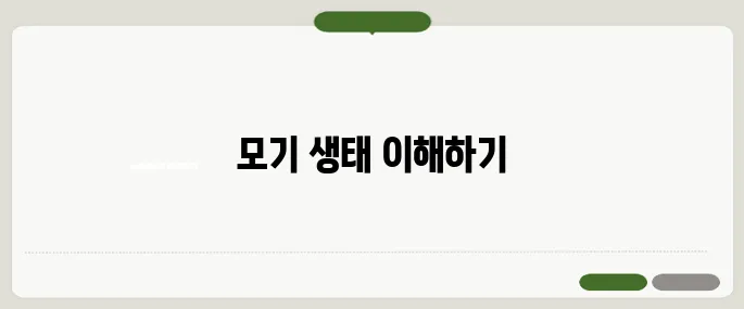 모기 수명과 활동 시기 여름철 대비 꼭 필요해요