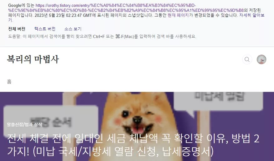 구글 캐시에 저장된 페이지 스냅샷