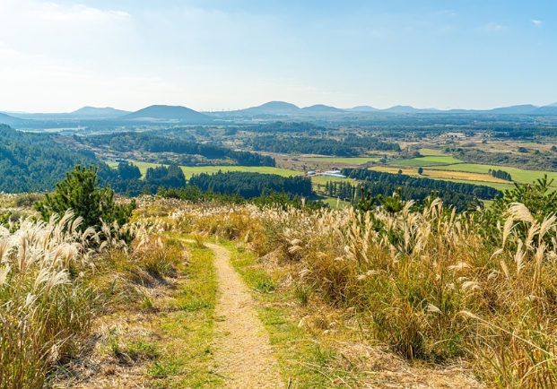 가을여행/11월/제주/감성/여행지