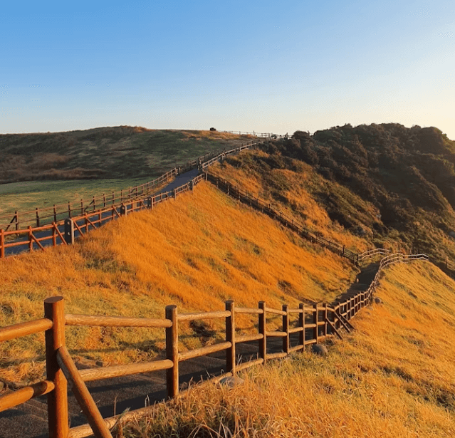 제주 나우다(NOWDA): 공영 관광지 할인 및 발급 방법