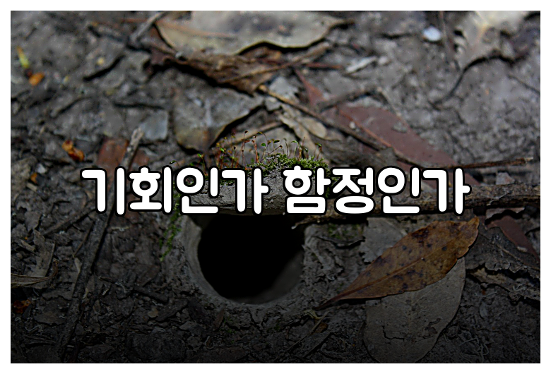 기회인가 함정인가