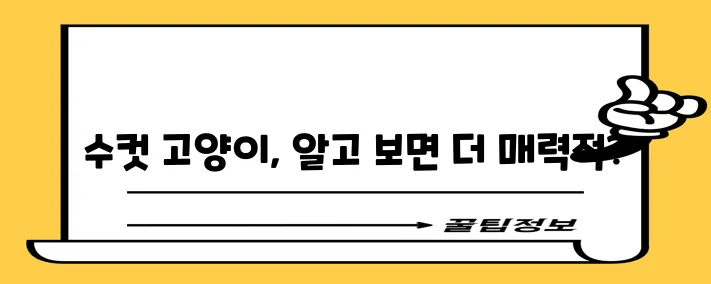 수컷 고양이 매혹적인 외모와 사랑스러운 본성은 정말 최고입니다!
