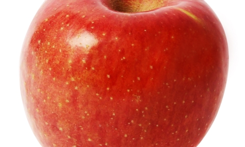 사과 사진