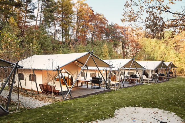 인스타 감성 캠핑존 평창 감성숲 캠핑파크