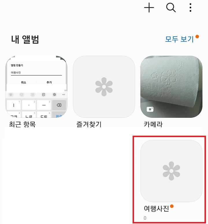 새앨범 보임
