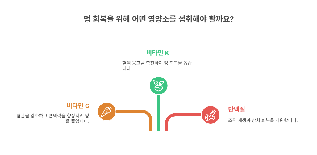 회복을 돕는 음식과 영양소