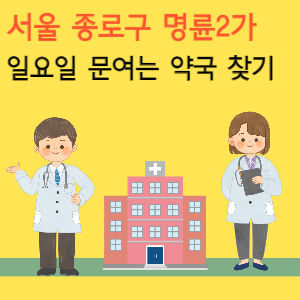 서울 종로구 명륜2가 일요일 문여는 당번 약국