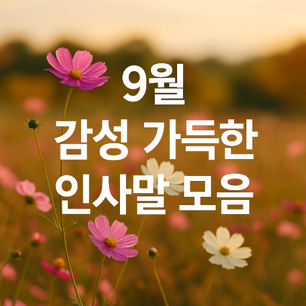 9월 인사말 감성 가득한 문구 모음