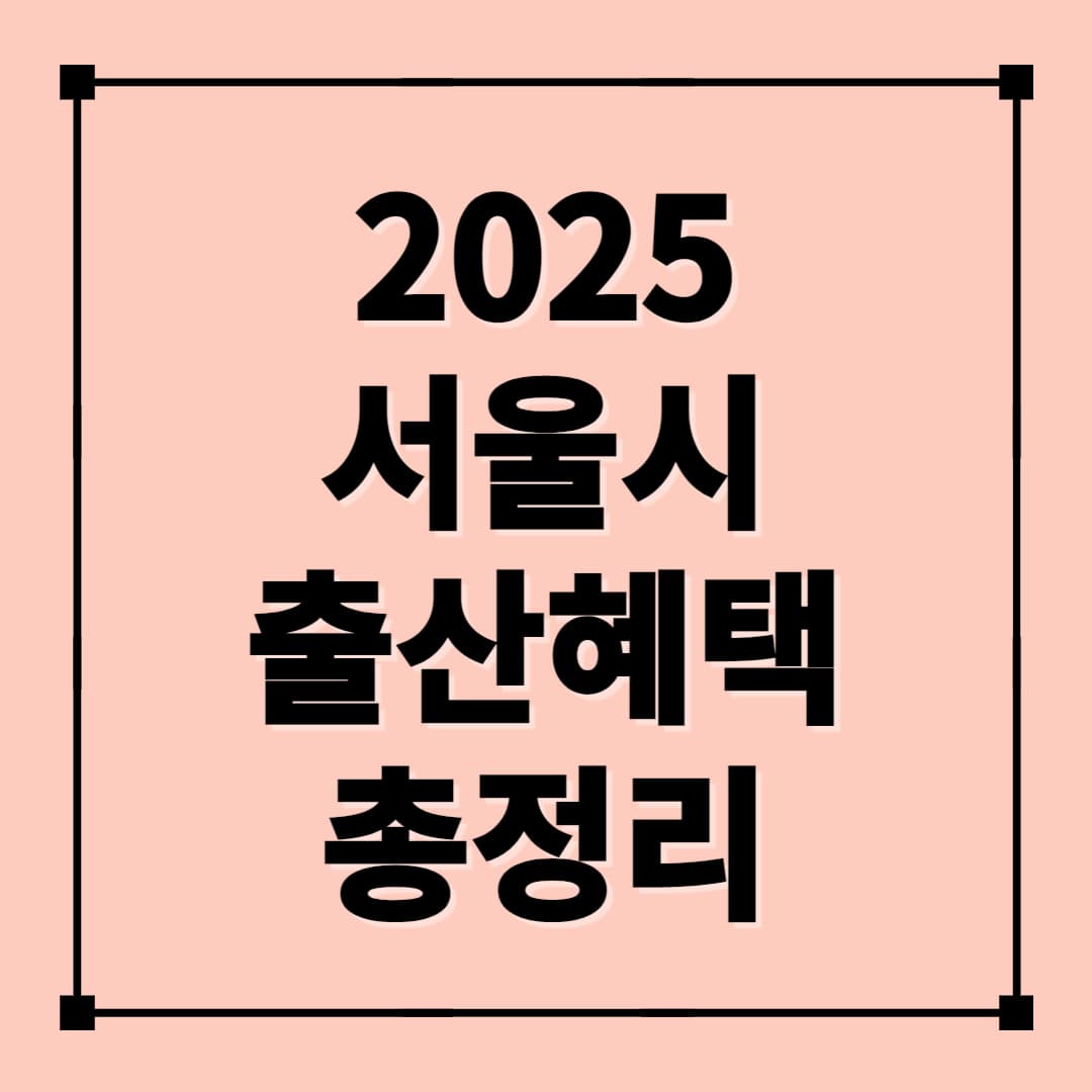 2025 서울시 출산 지원금 혜택 정리 및 신청방법