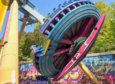 2024 에버랜드 은행나무숲산책 신청