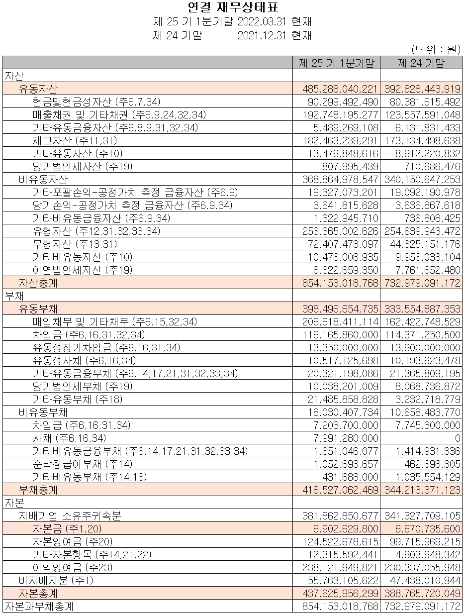 드림텍 - 재무상태표