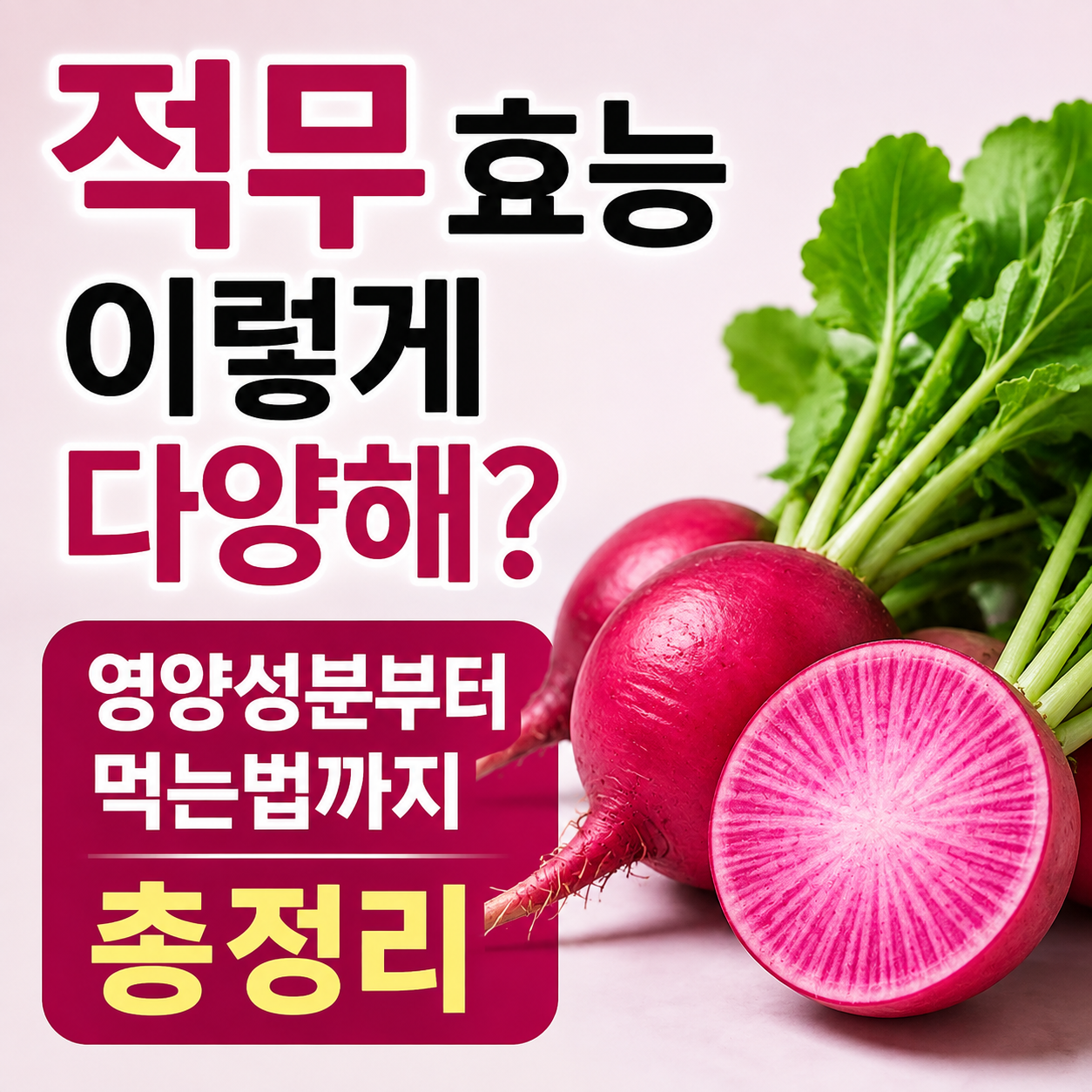 적무 효능