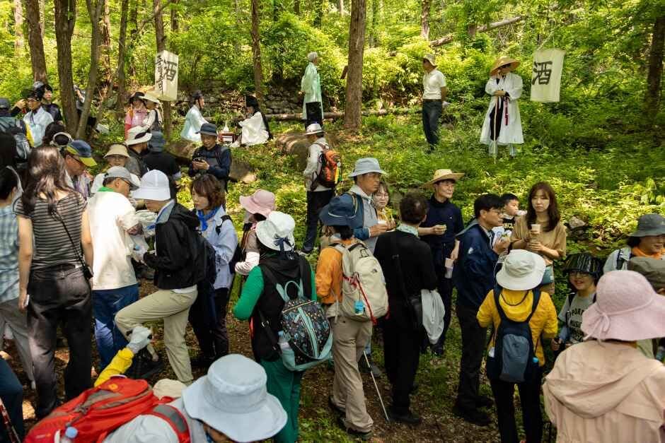 영주 소백산 철쭉제