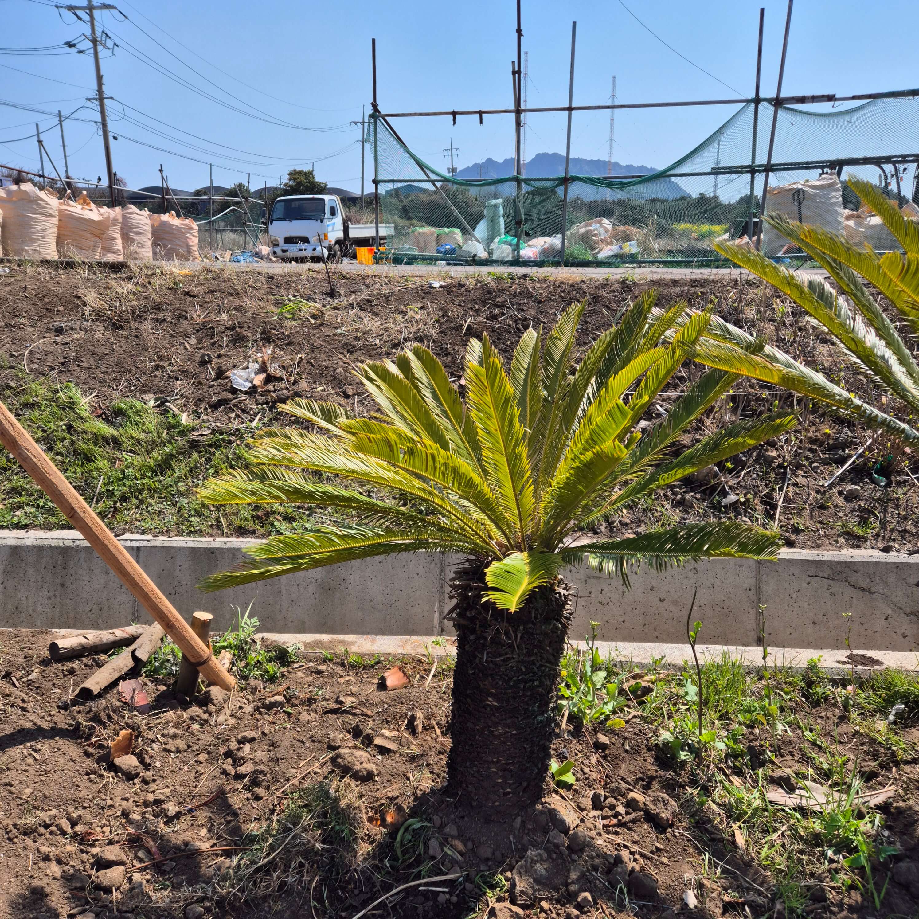 요로감염 원인과 극복 방법