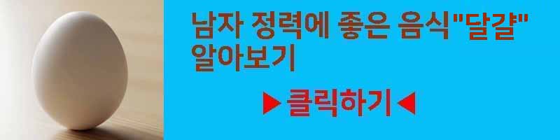남자 정력에 좋은 달걀 영양 효과 부작용 섭취 방법 알아보기