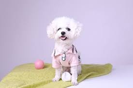 좋은 사료를 고르는 기준 알기