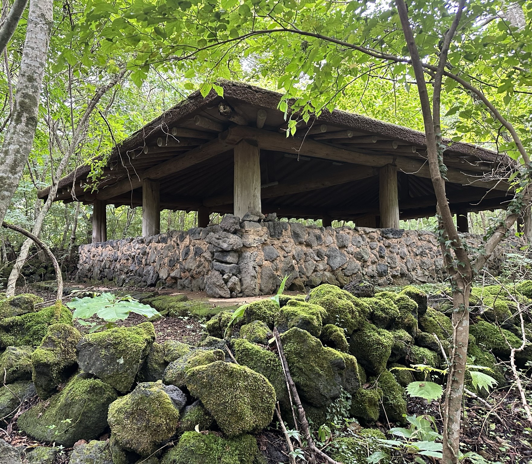 숙박동 산책로