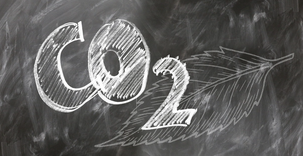 2026년 주목받는 직종 탄소배출 관리사