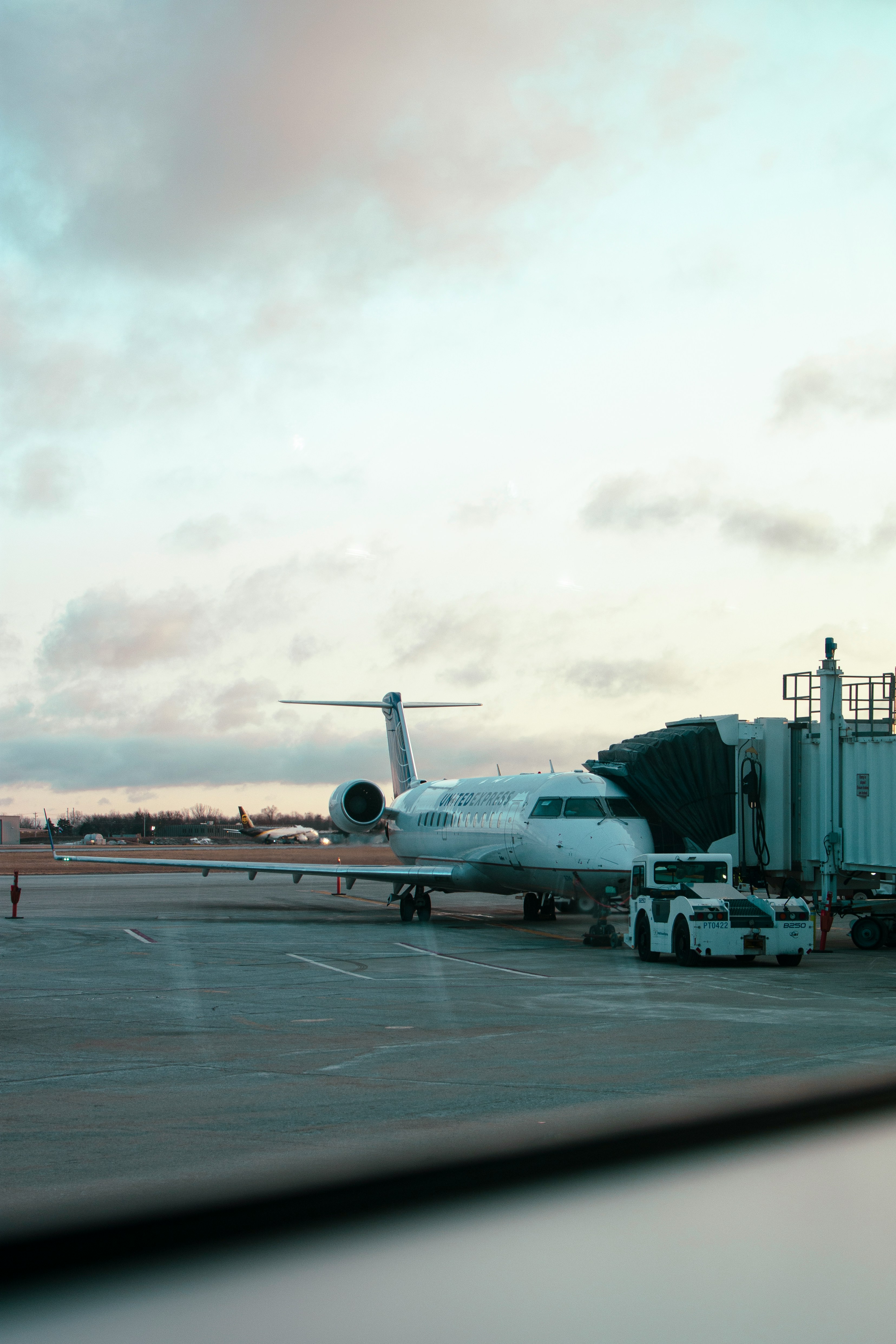 제주도 비행기표 싸게 사는법 총정리 : 땡처리 항공권 & 가격비교 꿀팁