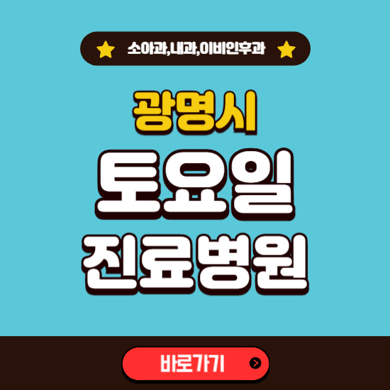 광명시 토요일 진료 병원 찾기 ❘ 주말 문여는 소아과, 내과, 이비인후과 리스트