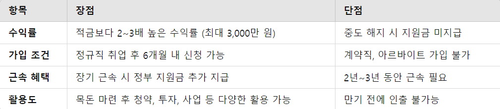 청년내일채움공제의 핵심 장점 & 단점