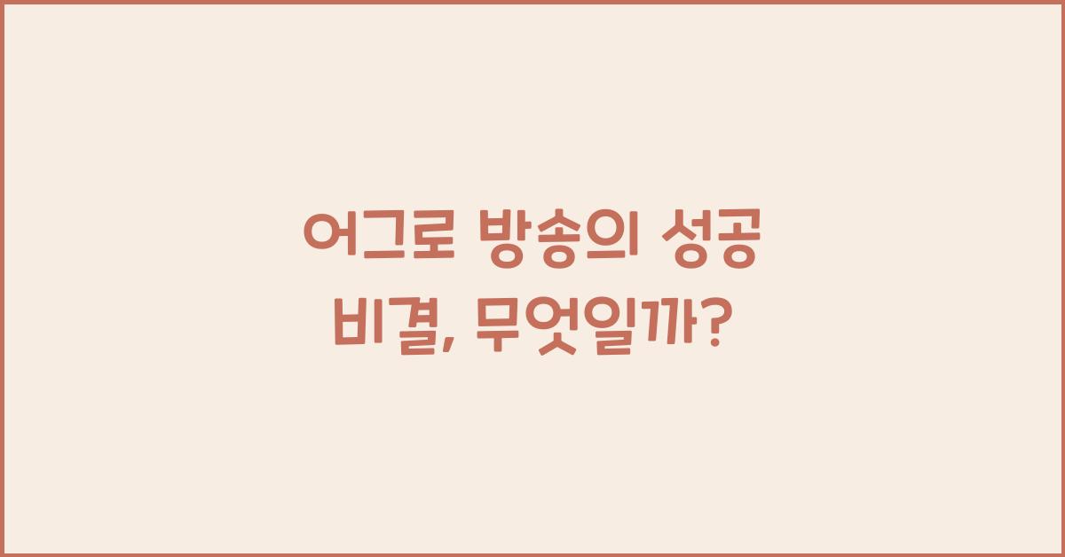 어그로 방송