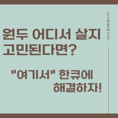 원두구매에 대한조언 썸네일