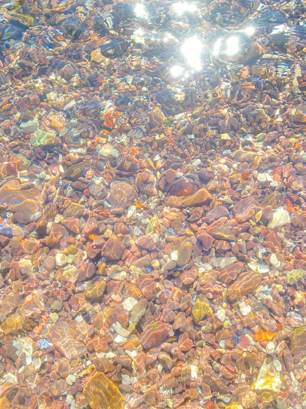 소리 없는 염증’이 건강을 망친다 – 만성 저강도 염증이 위험한 이유