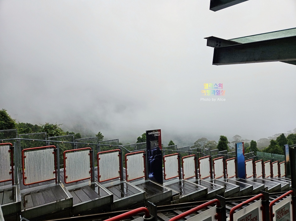 시드니 근교 블루마운틴 투어 가격 솔직 후기 + 시드니 동물원 일일투어