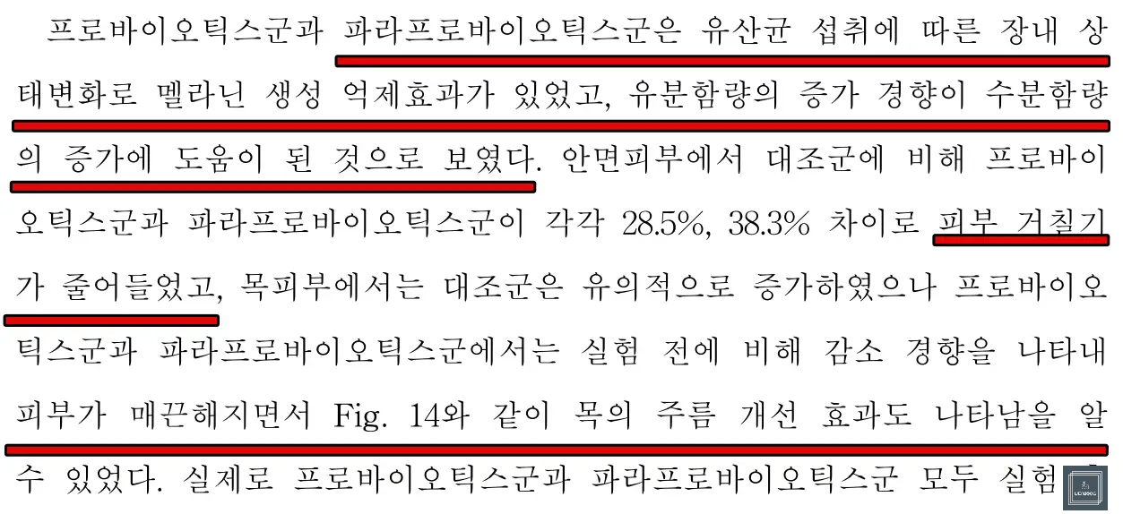 유산균-피부개선효과